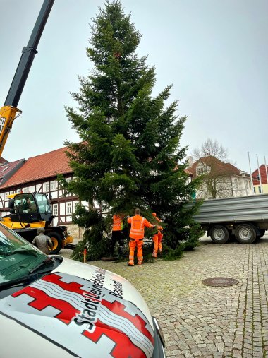 Weihnachtsbaum in Worbis